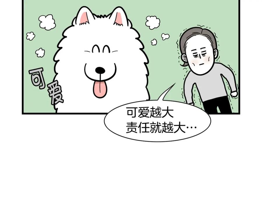 《我的狗子叫棉花》第58话 狗狗好可爱！ 第71页