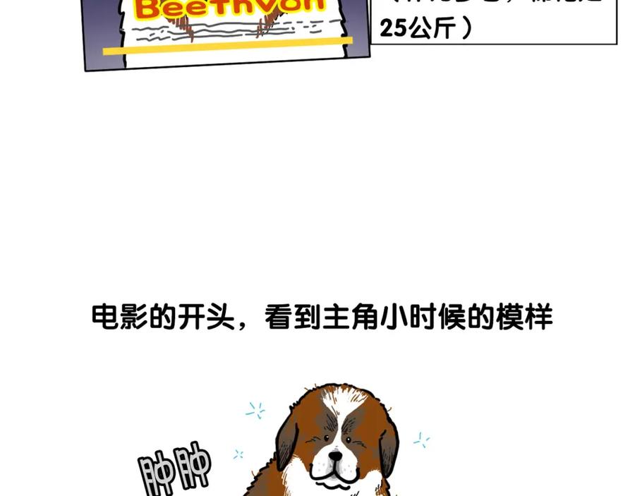 《我的狗子叫棉花》第58话 狗狗好可爱！ 第15页