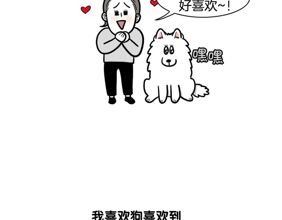 《我的狗子叫棉花》第58话 狗狗好可爱！ 第6页