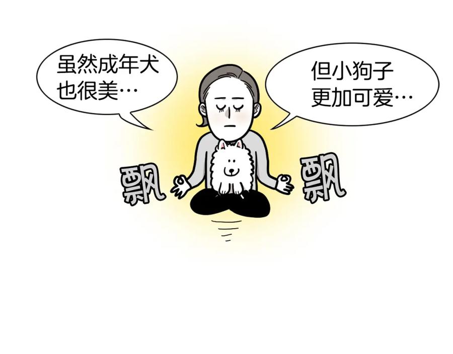 《我的狗子叫棉花》第58话 狗狗好可爱！ 第11页