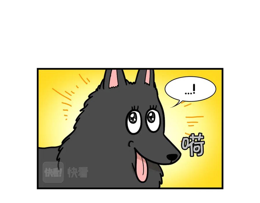 《我的狗子叫棉花》第58话 狗狗好可爱！ 第47页