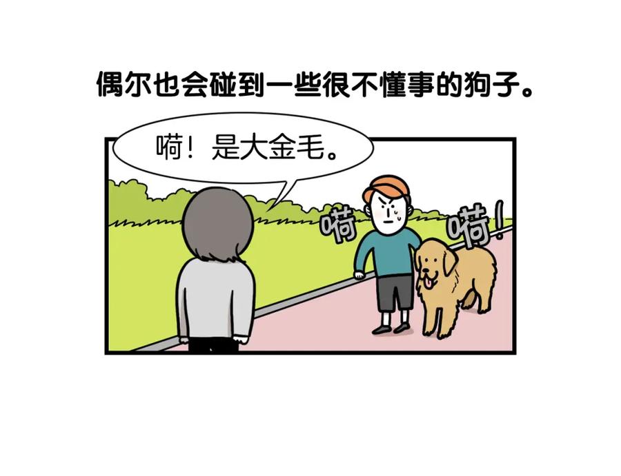 《我的狗子叫棉花》第58话 狗狗好可爱！ 第53页