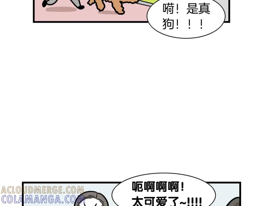 《我的狗子叫棉花》第58话 狗狗好可爱！ 第28页