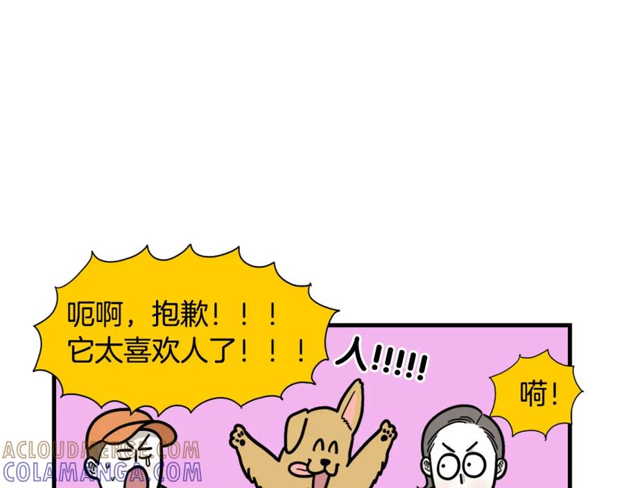 《我的狗子叫棉花》第58话 狗狗好可爱！ 第55页