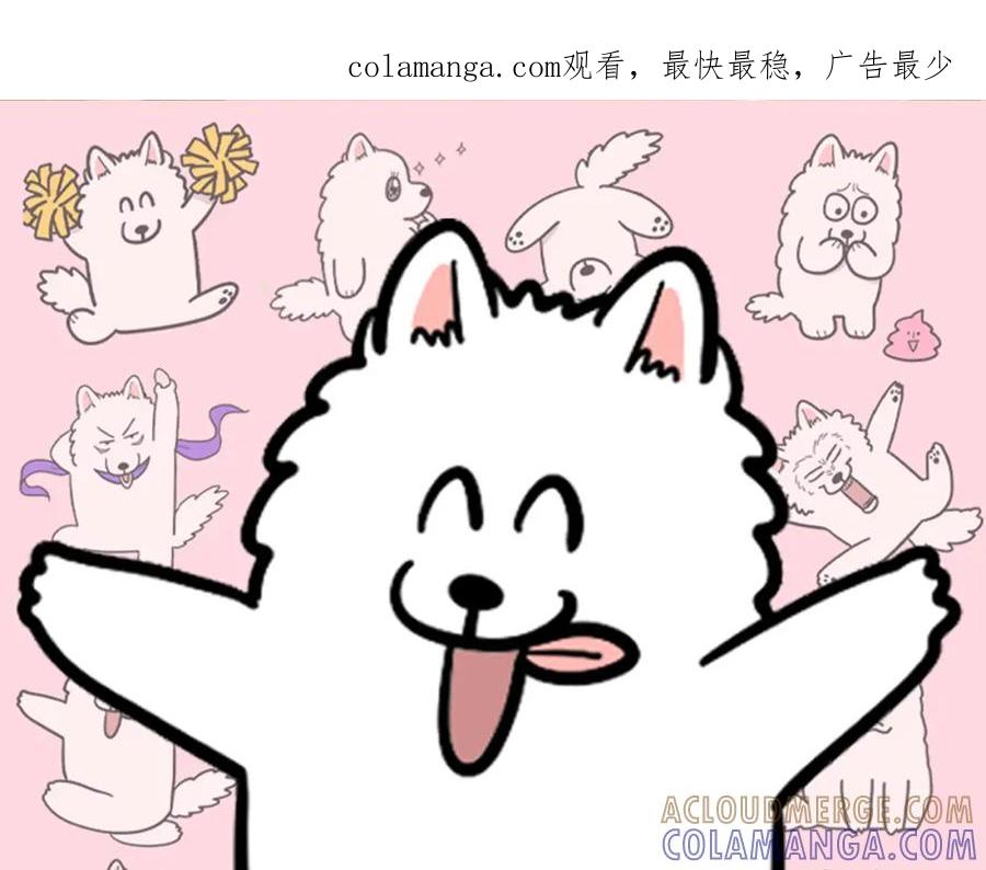 《我的狗子叫棉花》第58话 狗狗好可爱！ 第1页