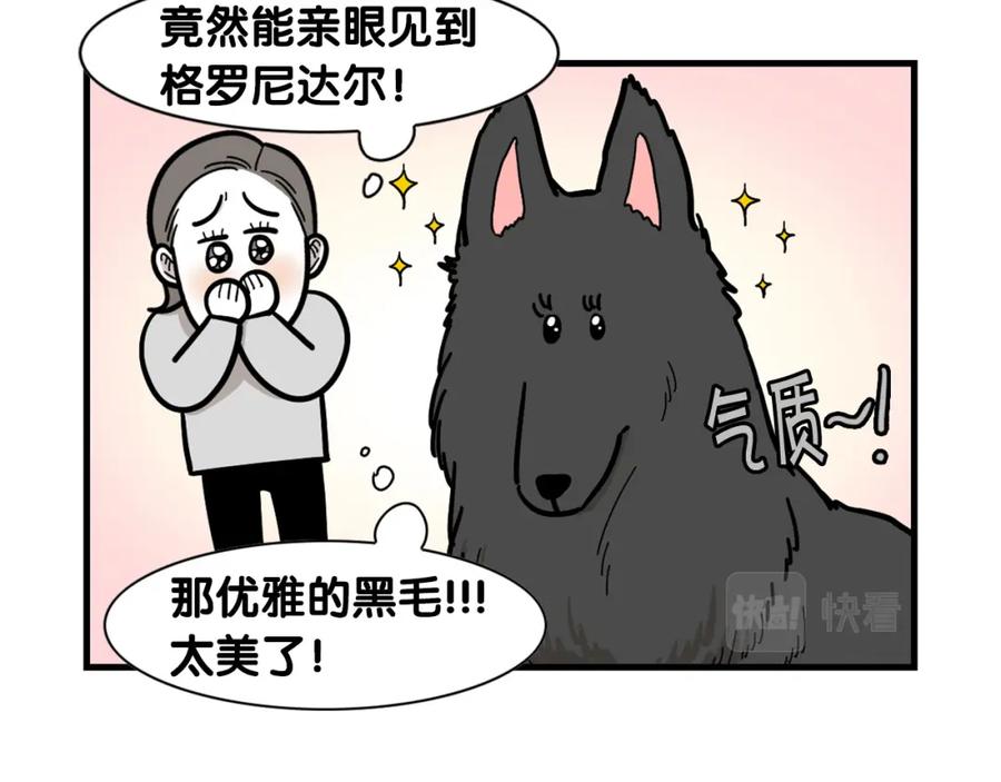 《我的狗子叫棉花》第58话 狗狗好可爱！ 第36页