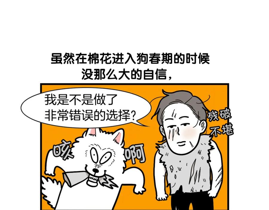 《我的狗子叫棉花》第58话 狗狗好可爱！ 第72页