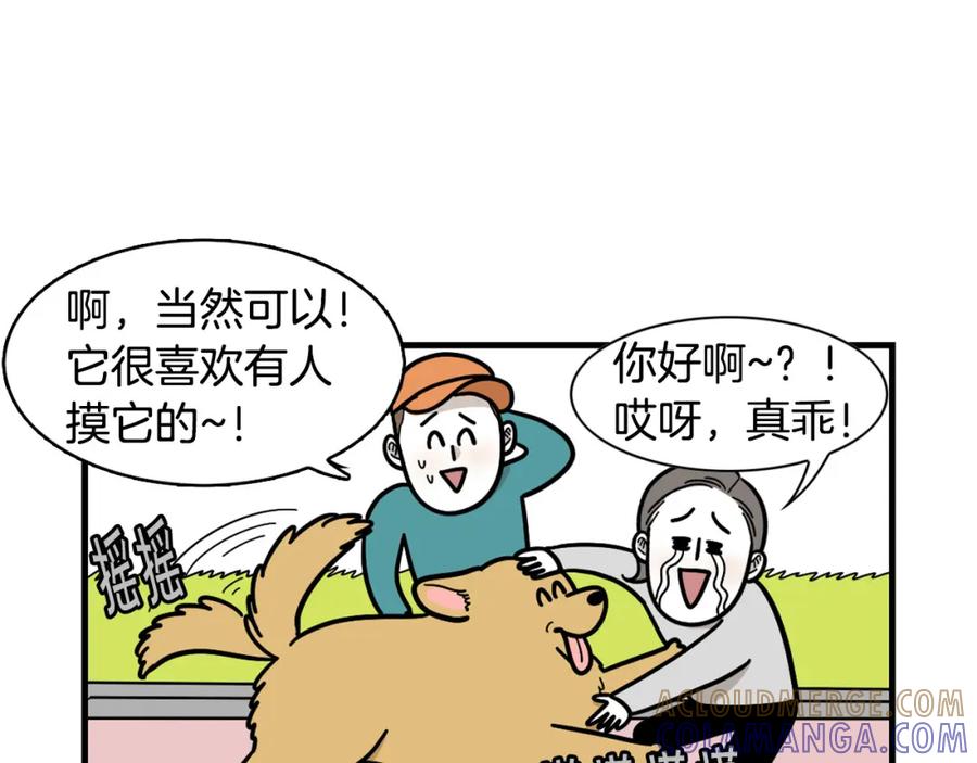 《我的狗子叫棉花》第58话 狗狗好可爱！ 第58页