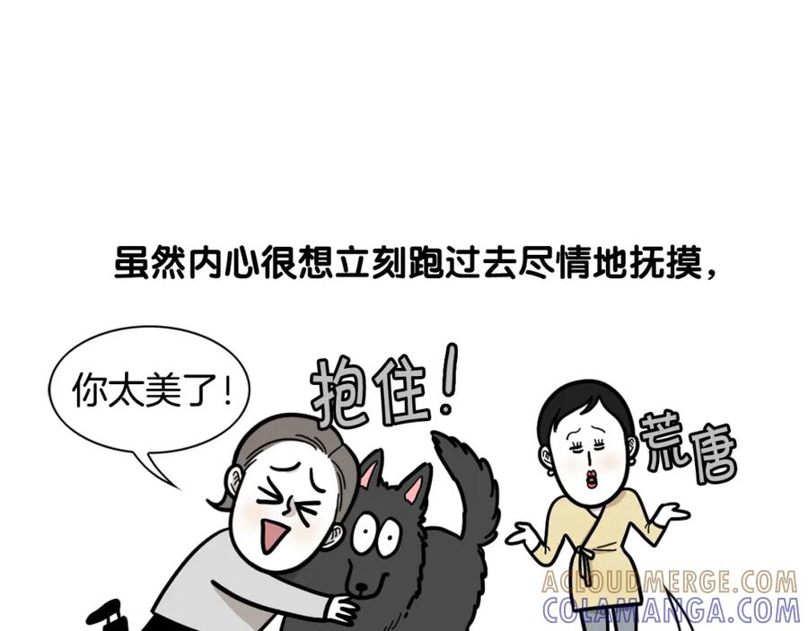 《我的狗子叫棉花》第58话 狗狗好可爱！ 第37页