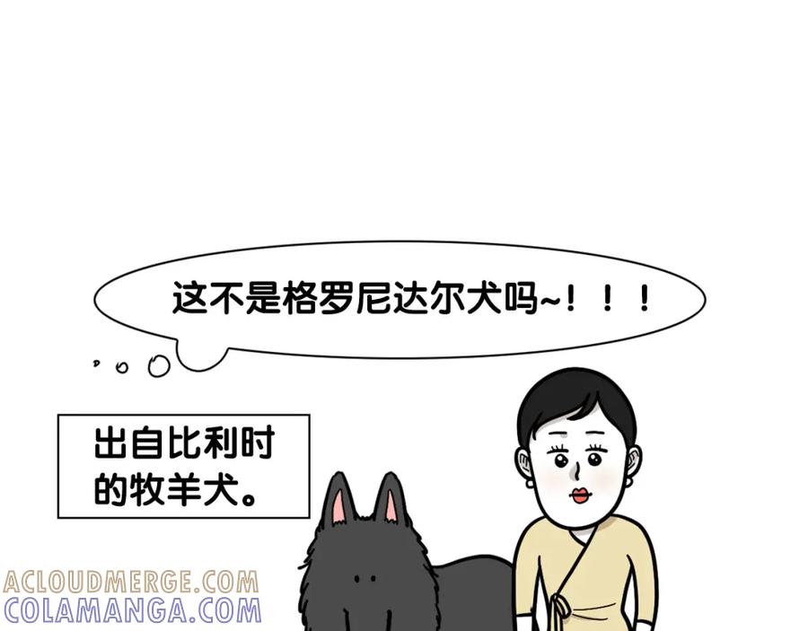 《我的狗子叫棉花》第58话 狗狗好可爱！ 第34页