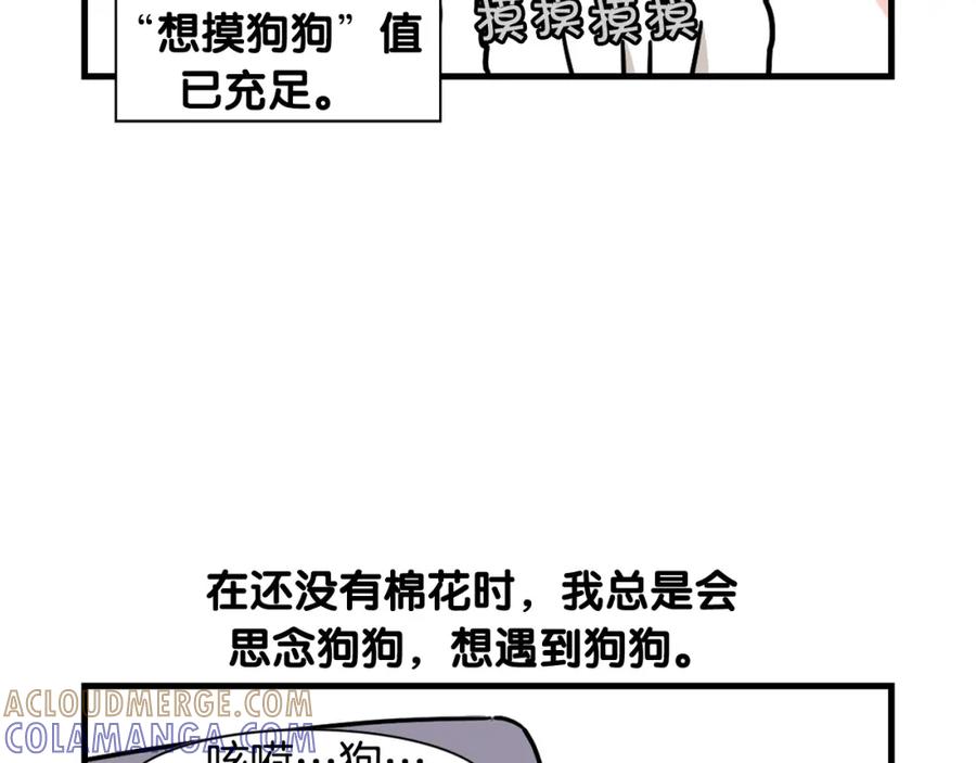 《我的狗子叫棉花》第58话 狗狗好可爱！ 第19页