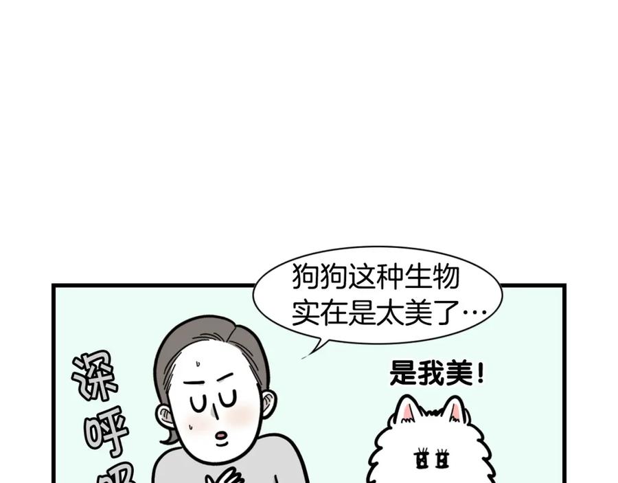 《我的狗子叫棉花》第58话 狗狗好可爱！ 第8页