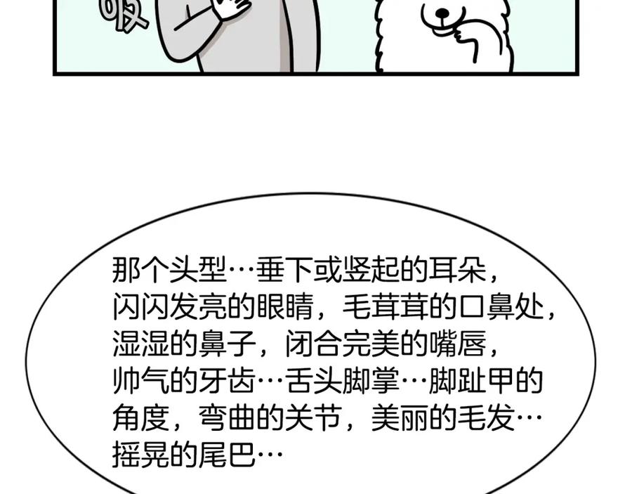 《我的狗子叫棉花》第58话 狗狗好可爱！ 第9页