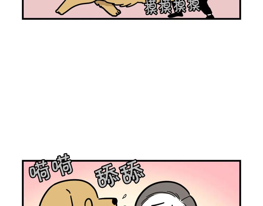《我的狗子叫棉花》第58话 狗狗好可爱！ 第59页
