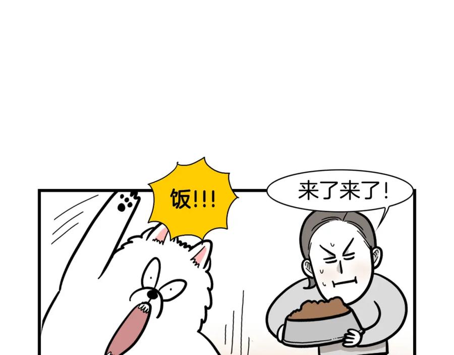 《我的狗子叫棉花》第59话 棉花的一天 第42页