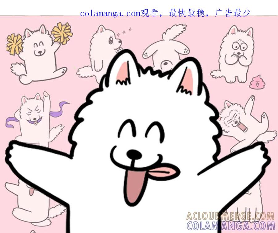 《我的狗子叫棉花》第59话 棉花的一天 第1页