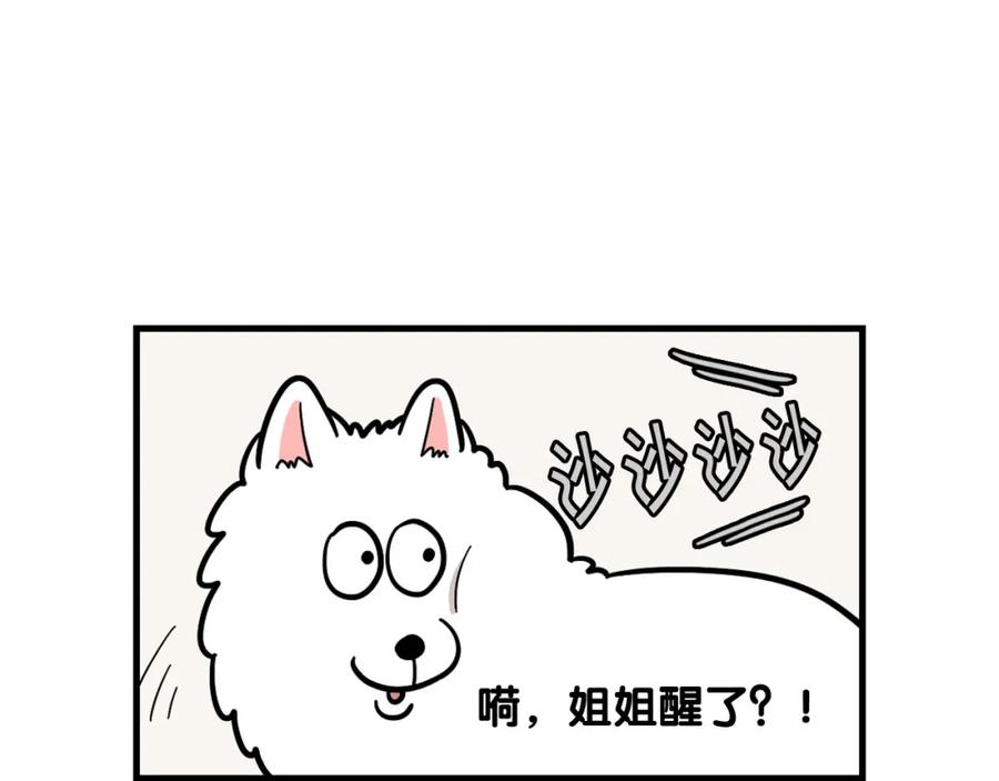 《我的狗子叫棉花》第59话 棉花的一天 第14页