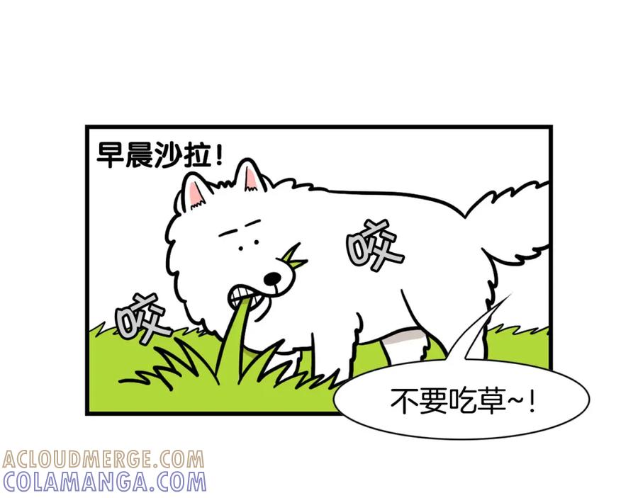 《我的狗子叫棉花》第59话 棉花的一天 第37页