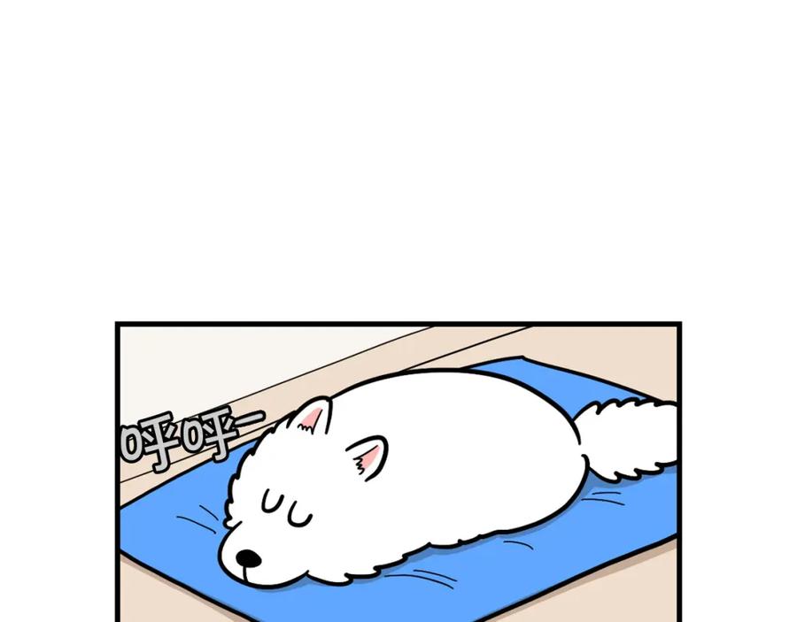 《我的狗子叫棉花》第59话 棉花的一天 第6页