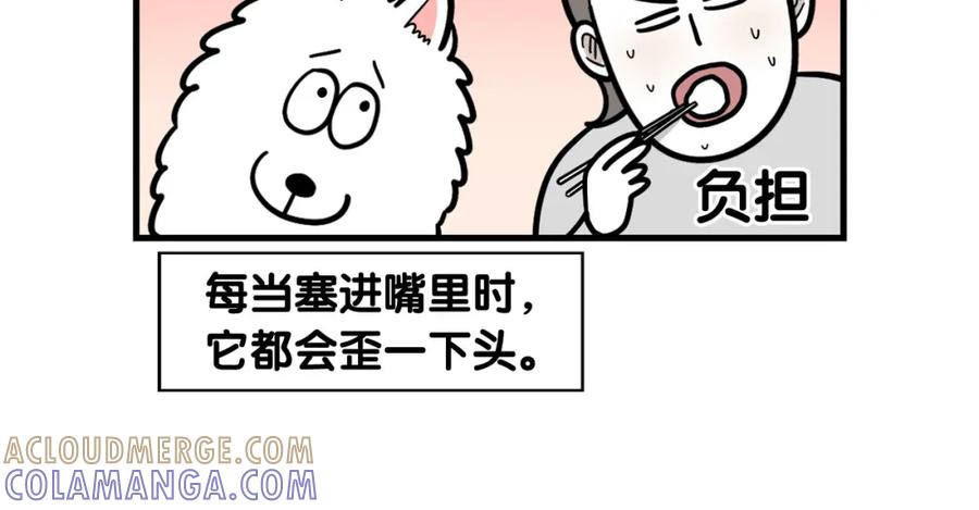 《我的狗子叫棉花》第59话 棉花的一天 第58页
