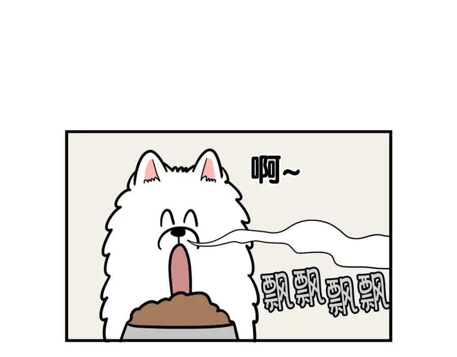 《我的狗子叫棉花》第59话 棉花的一天 第48页