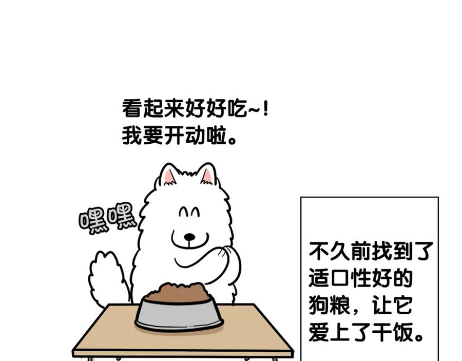 《我的狗子叫棉花》第59话 棉花的一天 第45页