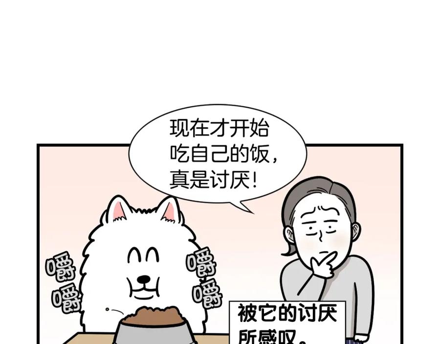《我的狗子叫棉花》第59话 棉花的一天 第69页