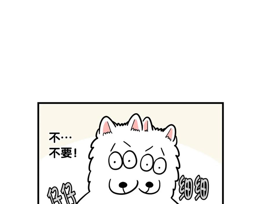 《我的狗子叫棉花》第59话 棉花的一天 第63页