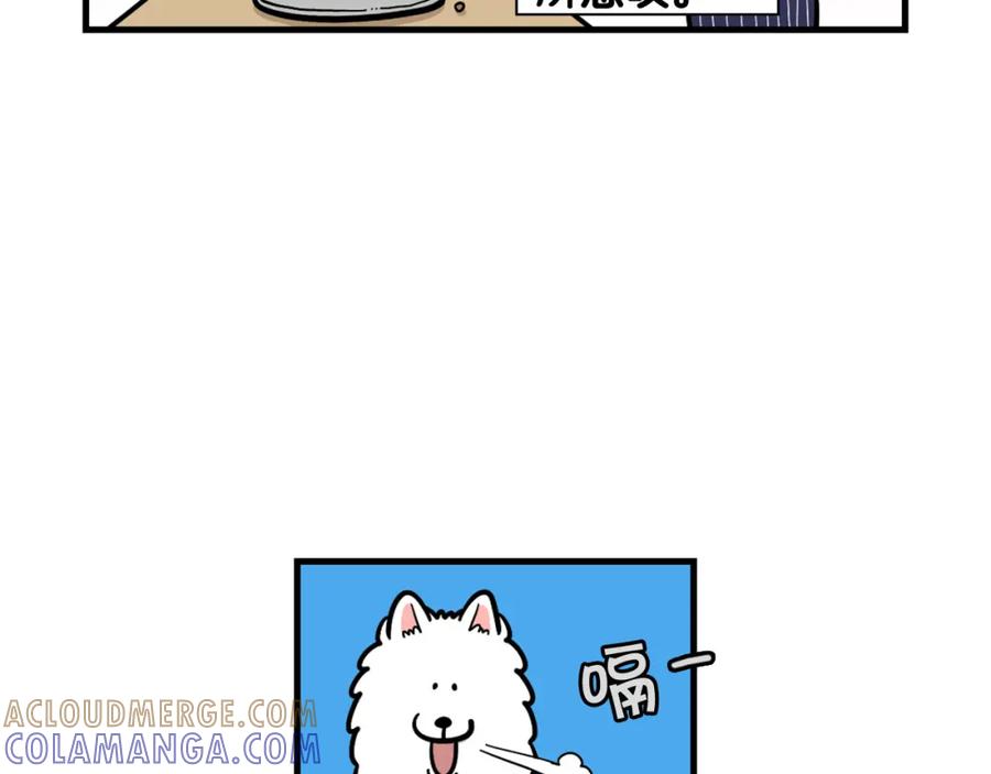 《我的狗子叫棉花》第59话 棉花的一天 第70页