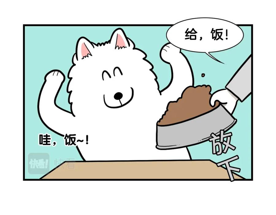 《我的狗子叫棉花》第59话 棉花的一天 第44页