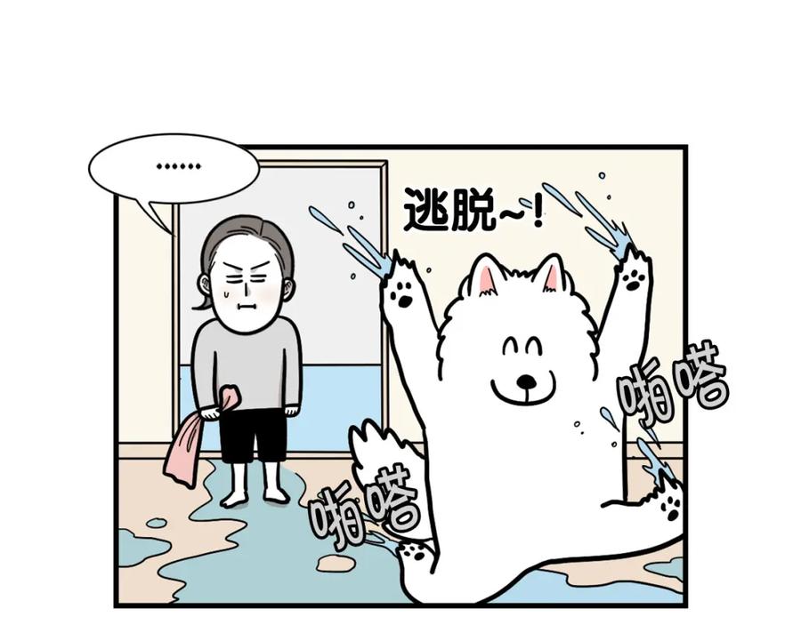 《我的狗子叫棉花》第60话 养狗很快乐～ 第21页