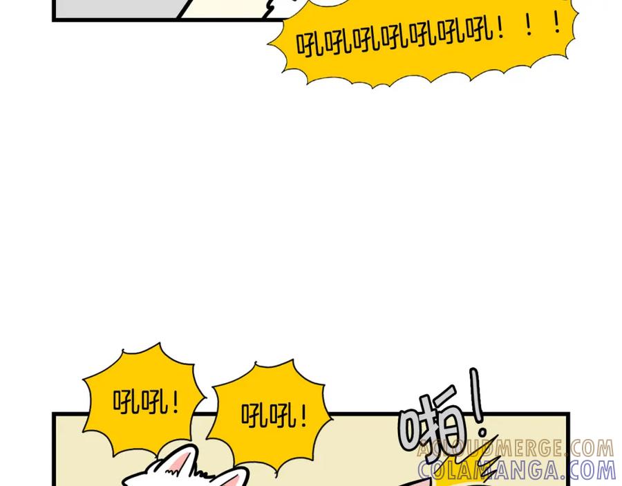 《我的狗子叫棉花》第60话 养狗很快乐～ 第19页