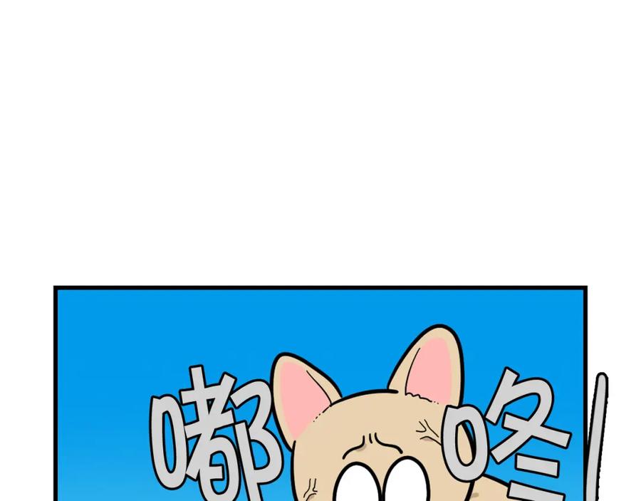 《我的狗子叫棉花》第60话 养狗很快乐～ 第35页