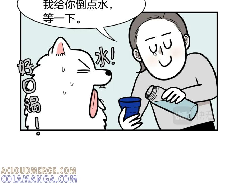 《我的狗子叫棉花》第60话 养狗很快乐～ 第10页