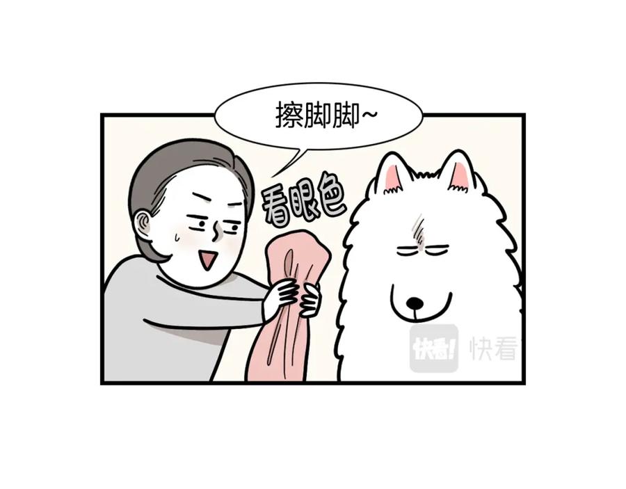《我的狗子叫棉花》第60话 养狗很快乐～ 第17页