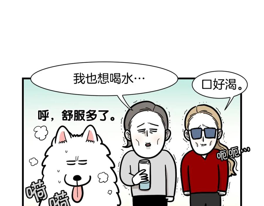 《我的狗子叫棉花》第60话 养狗很快乐～ 第14页