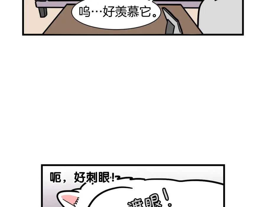 《我的狗子叫棉花》第60话 养狗很快乐～ 第62页