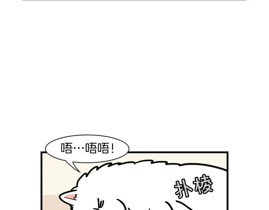 《我的狗子叫棉花》第60话 养狗很快乐～ 第38页