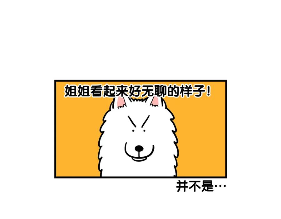 《我的狗子叫棉花》第60话 养狗很快乐～ 第45页