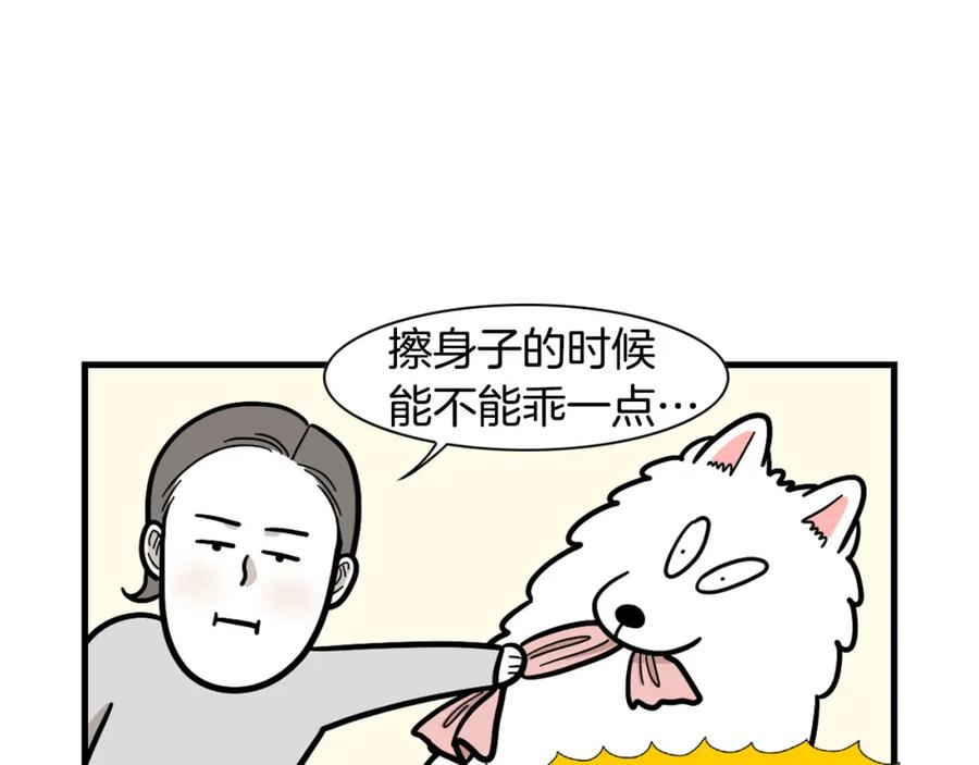 《我的狗子叫棉花》第60话 养狗很快乐～ 第18页