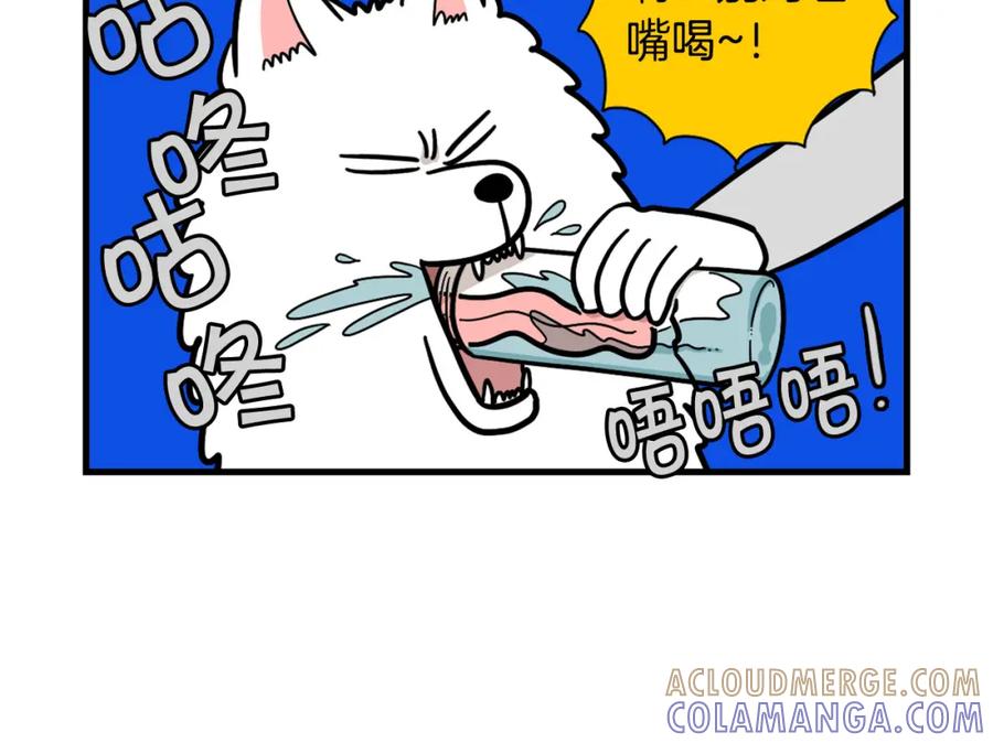 《我的狗子叫棉花》第60话 养狗很快乐～ 第13页