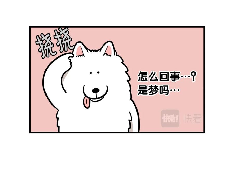 《我的狗子叫棉花》第60话 养狗很快乐～ 第41页