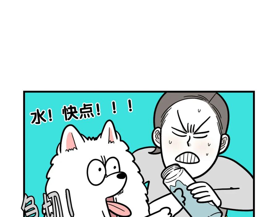 《我的狗子叫棉花》第60话 养狗很快乐～ 第11页