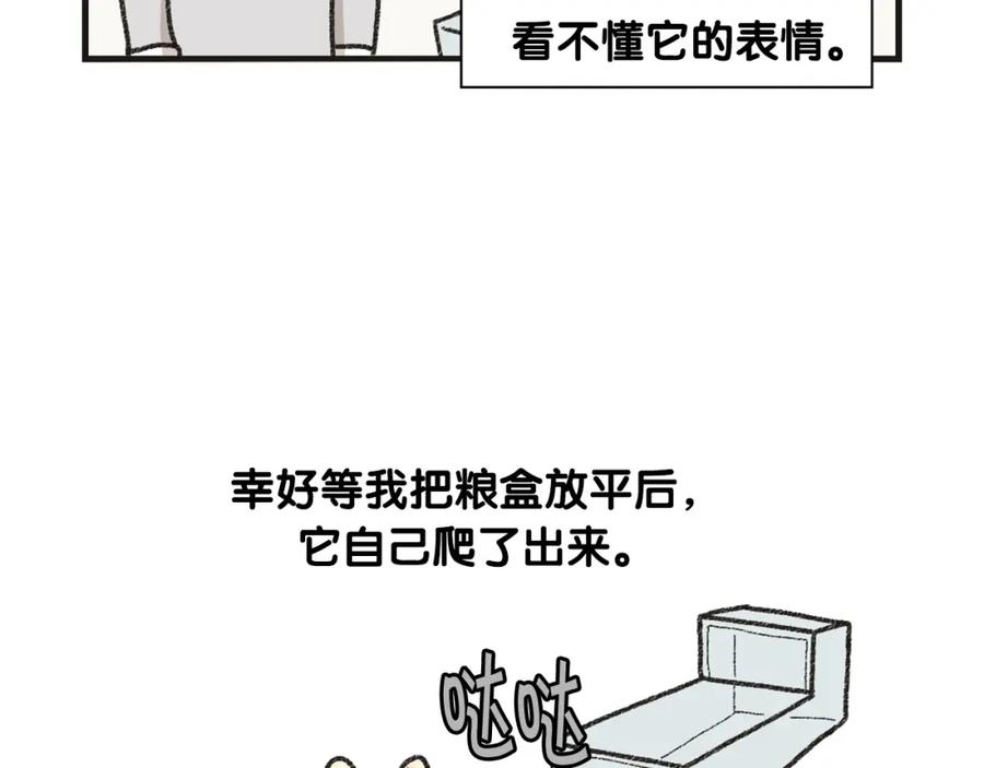 《我的狗子叫棉花》番外1 毛毛登场！ 第56页