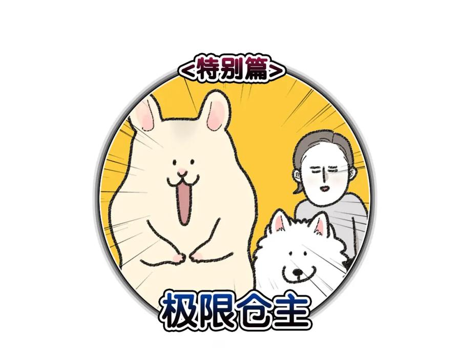 《我的狗子叫棉花》番外1 毛毛登场！ 第5页
