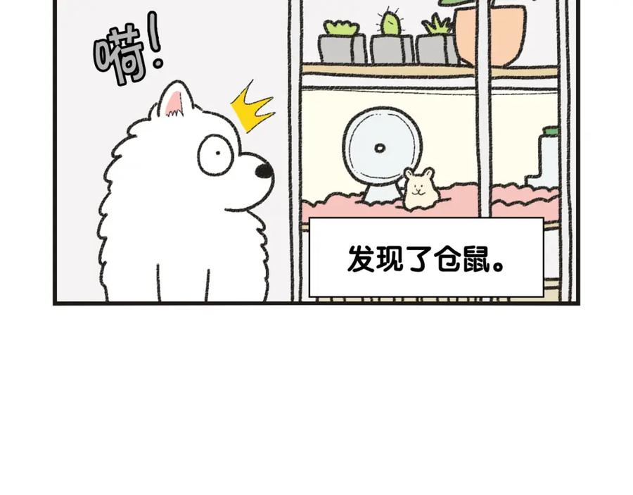 《我的狗子叫棉花》番外1 毛毛登场！ 第26页
