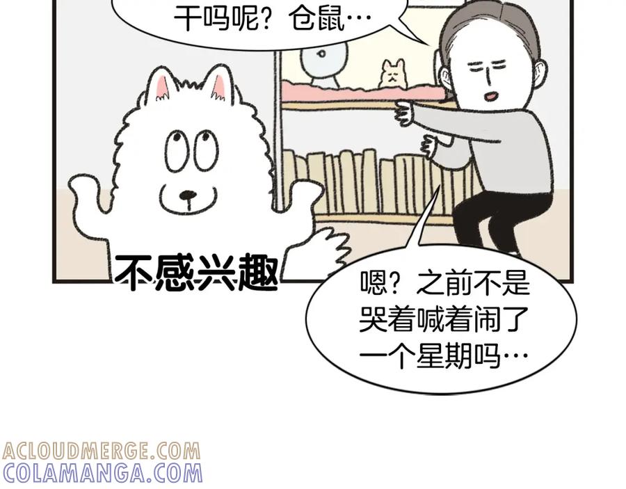 《我的狗子叫棉花》番外1 毛毛登场！ 第40页