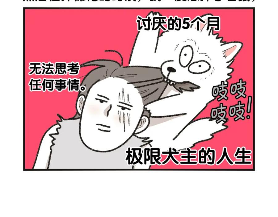 《我的狗子叫棉花》番外1 毛毛登场！ 第12页