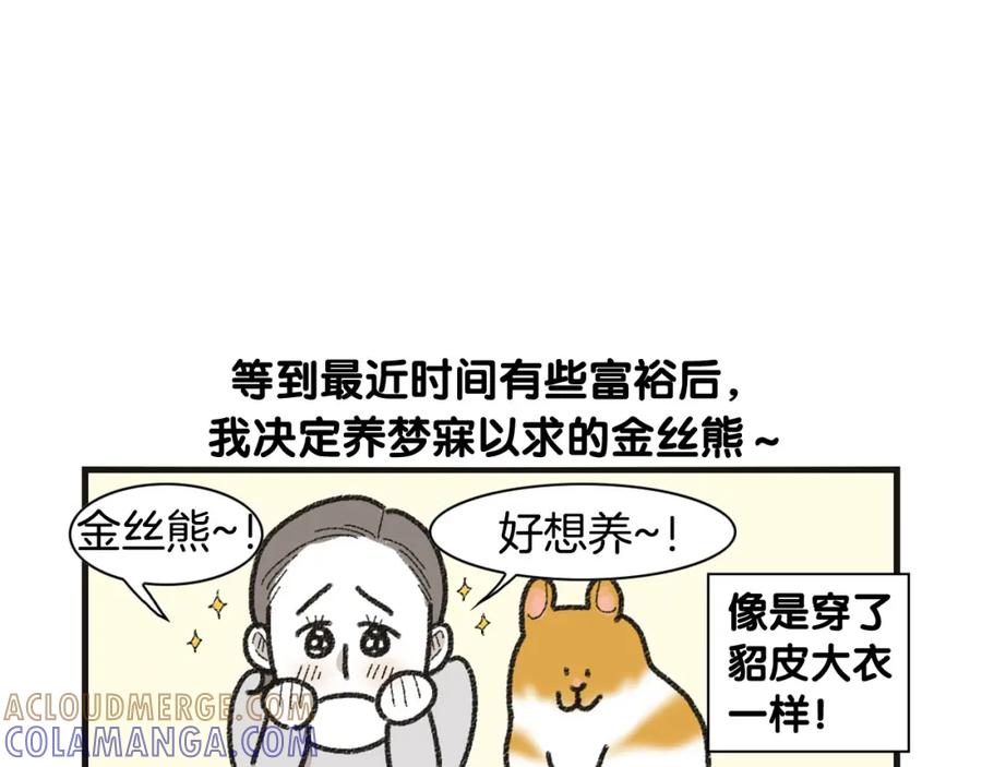 《我的狗子叫棉花》番外1 毛毛登场！ 第13页