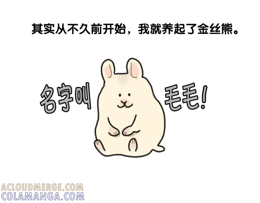 《我的狗子叫棉花》番外1 毛毛登场！ 第7页